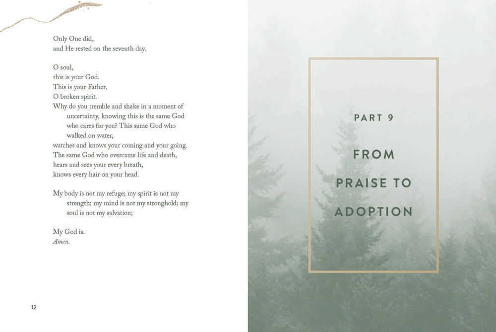 A closer look A closer look