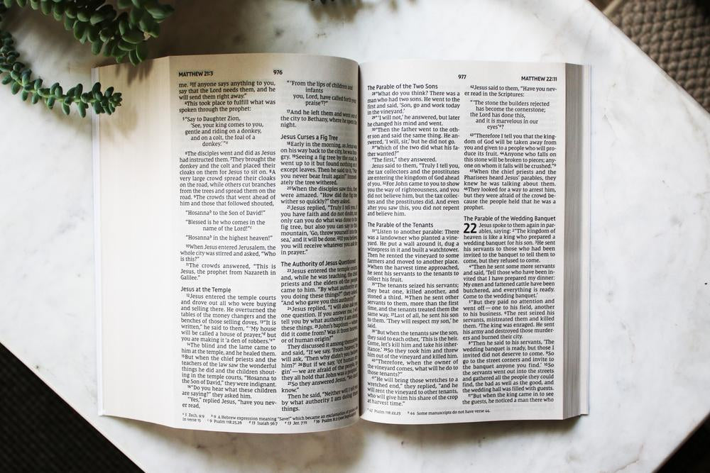 Jesus Everywhere Bible