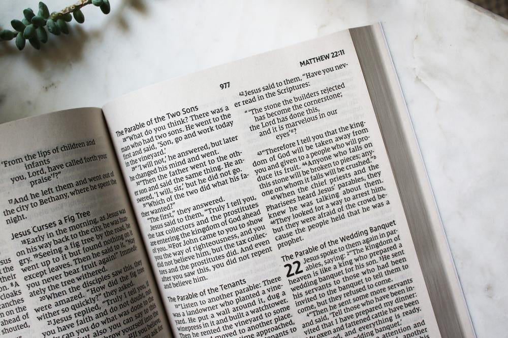 Jesus Everywhere Bible