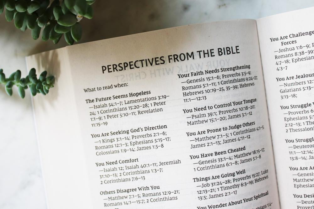 Jesus Everywhere Bible
