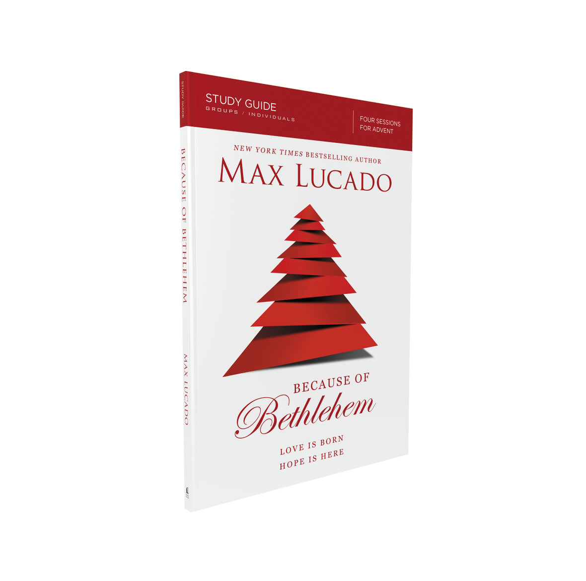 Because of Bethlehem Book + Study Guide Bundle