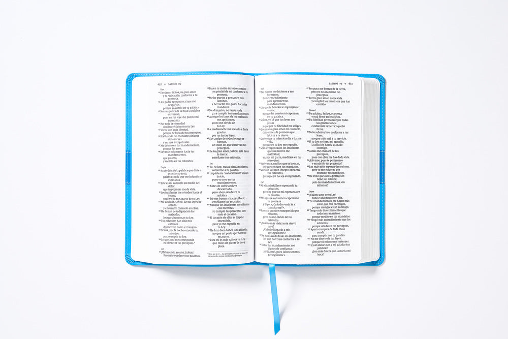 Biblia para Niños NVI, Texto revisado 2022, Comfort Print – FaithGateway  Store