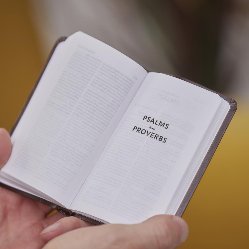 KJV, Pocket New Testament with Psalms & Proverbs, Red Letter, Comfort