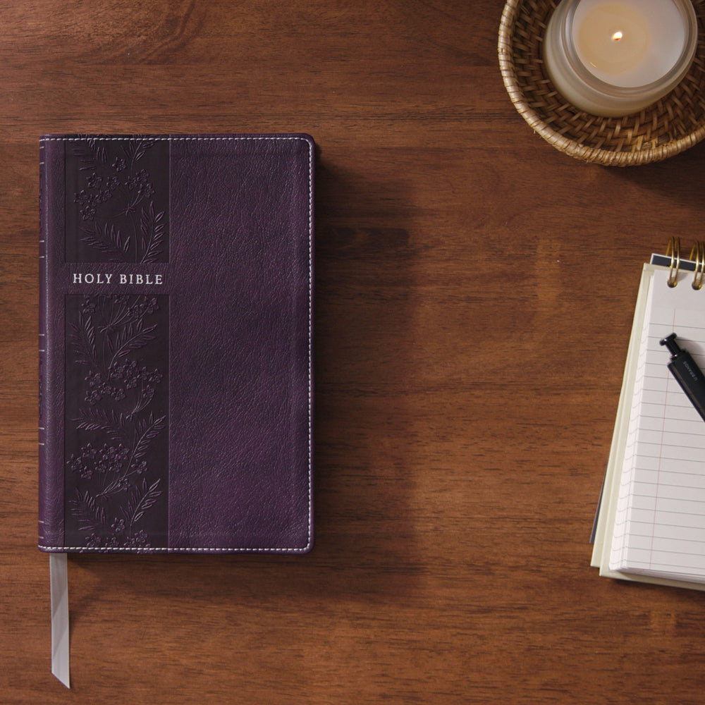 The God You Need to Know Study Guide + Book + Bible Premium Bundle