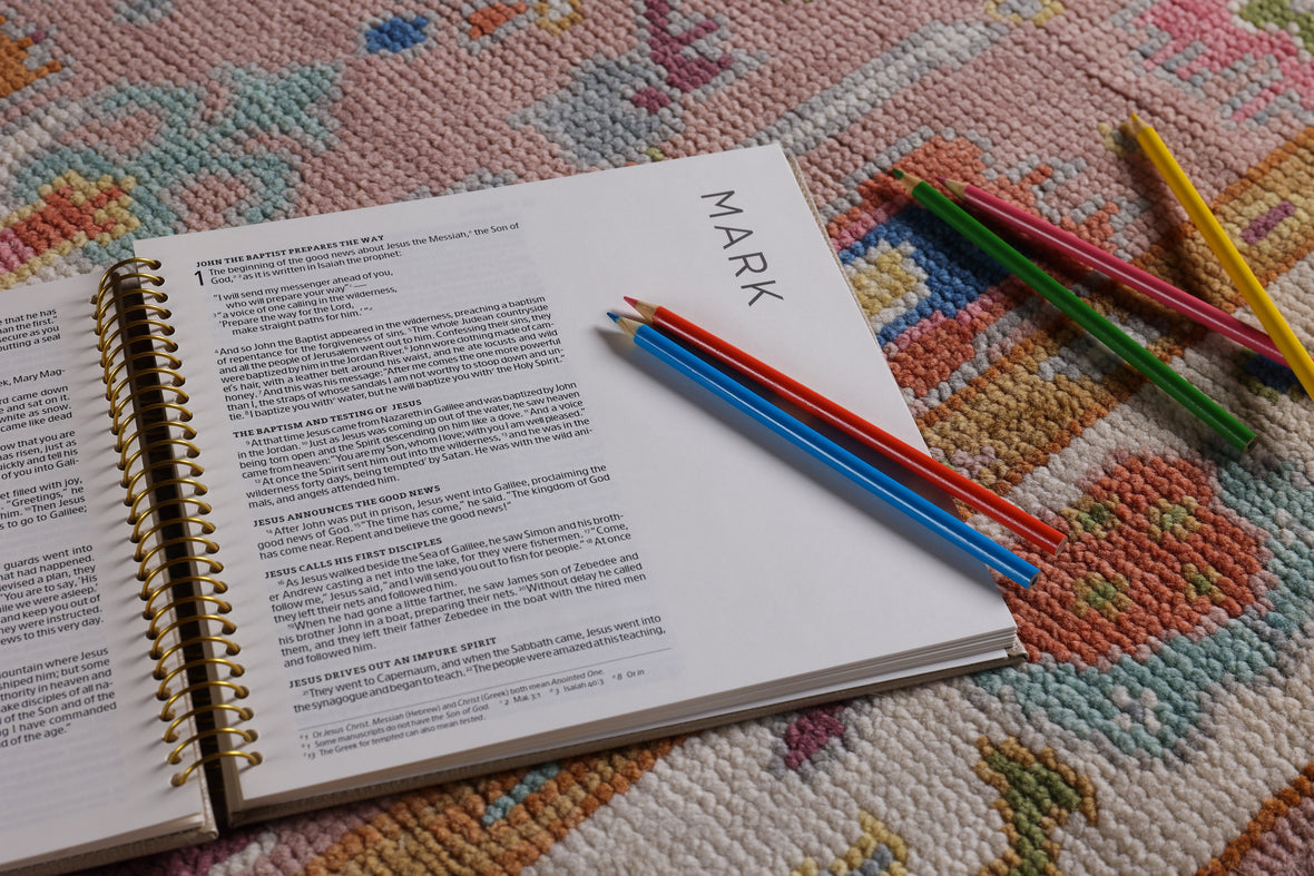 NIV, Spiral-bound Illustrating Bible: The Gospels, Leathersoft Spiral, Tan: Draw, Write, and Reflect Your Way Through Scripture