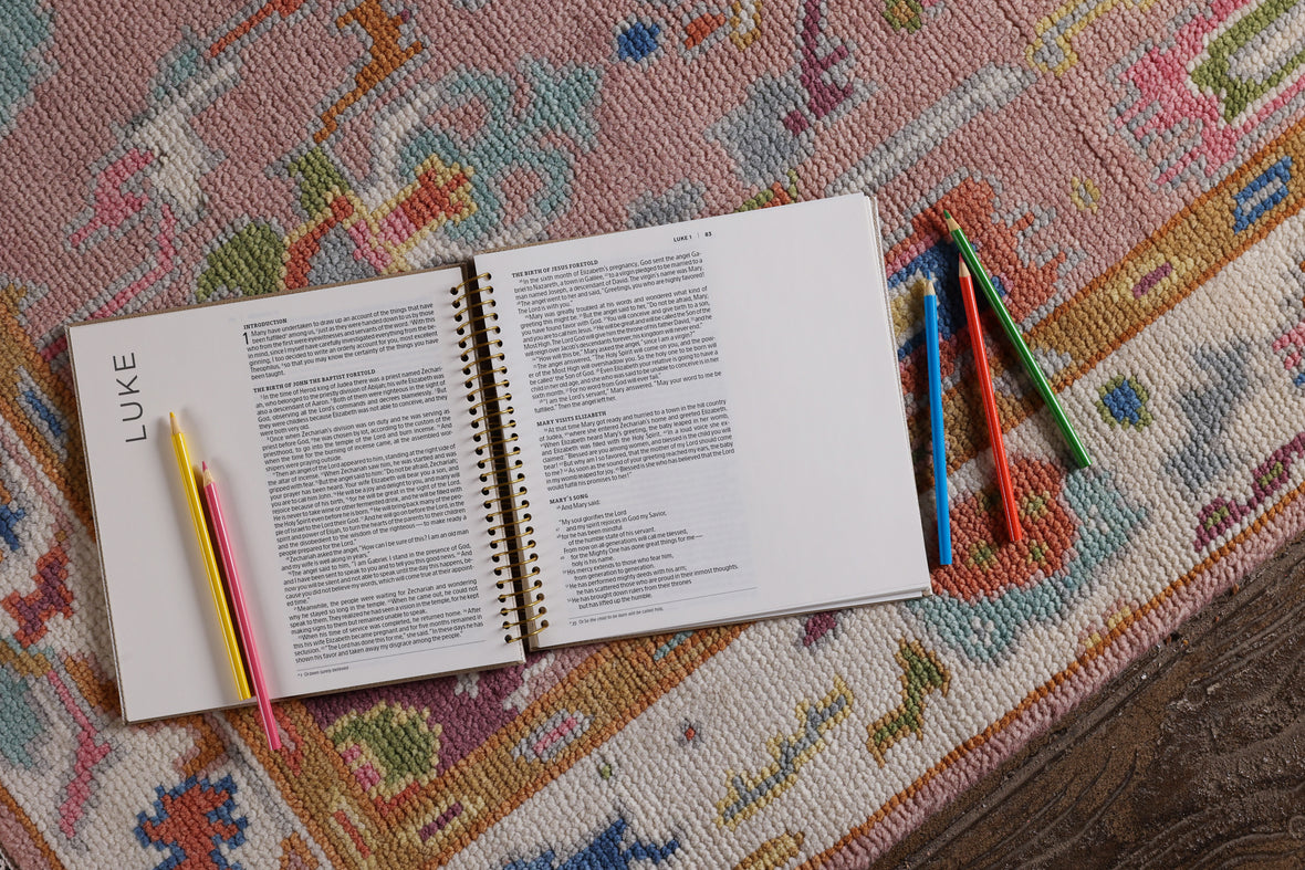 NIV, Spiral-bound Illustrating Bible: The Gospels, Leathersoft Spiral, Tan: Draw, Write, and Reflect Your Way Through Scripture