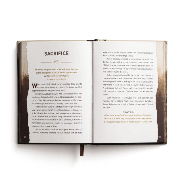 Designed for Greatness: Devotions for Men