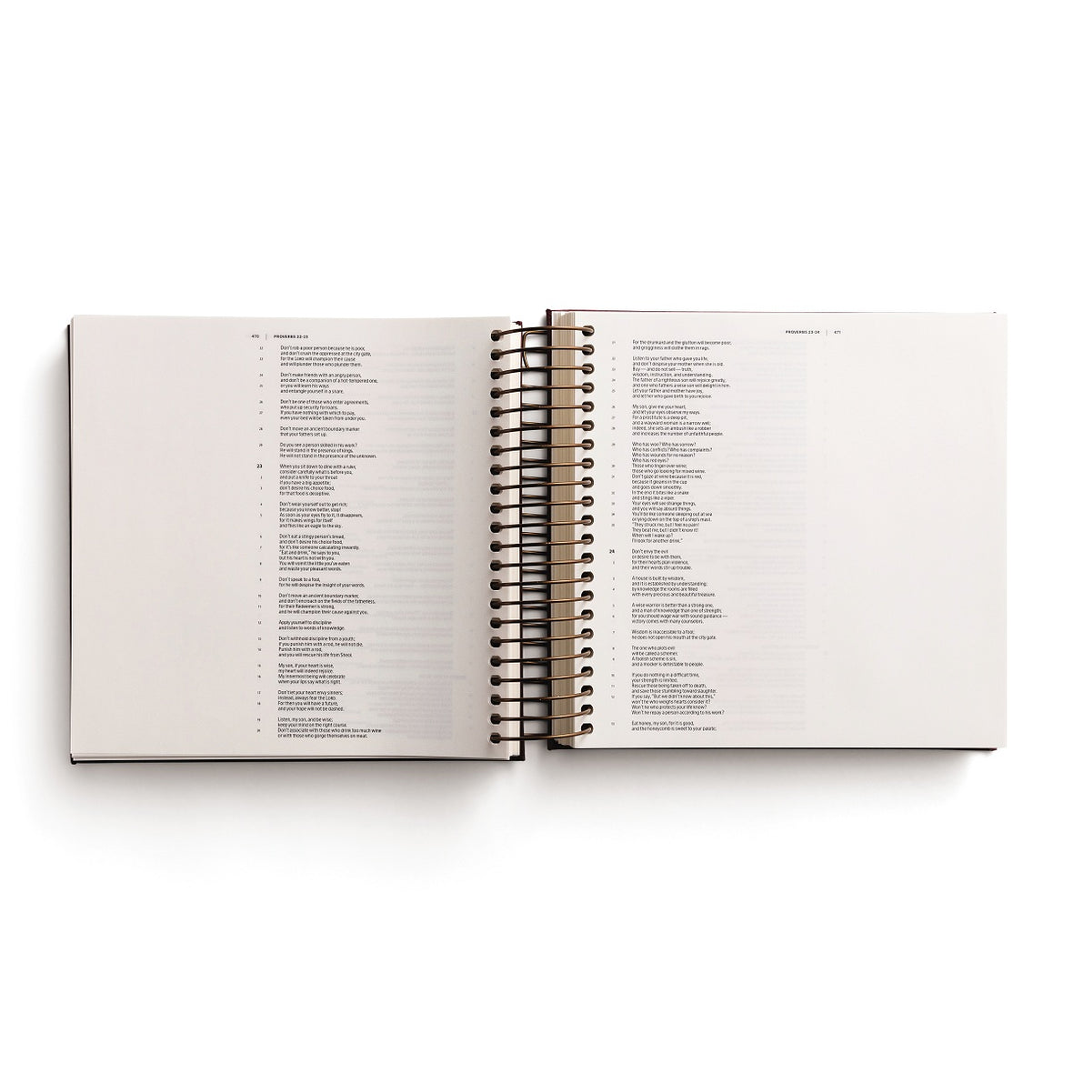 CSB, Spiral-bound Illustrating Bible, Leathersoft Spiral, Cranberry: Draw, Write, and Reflect Your Way Through Scripture