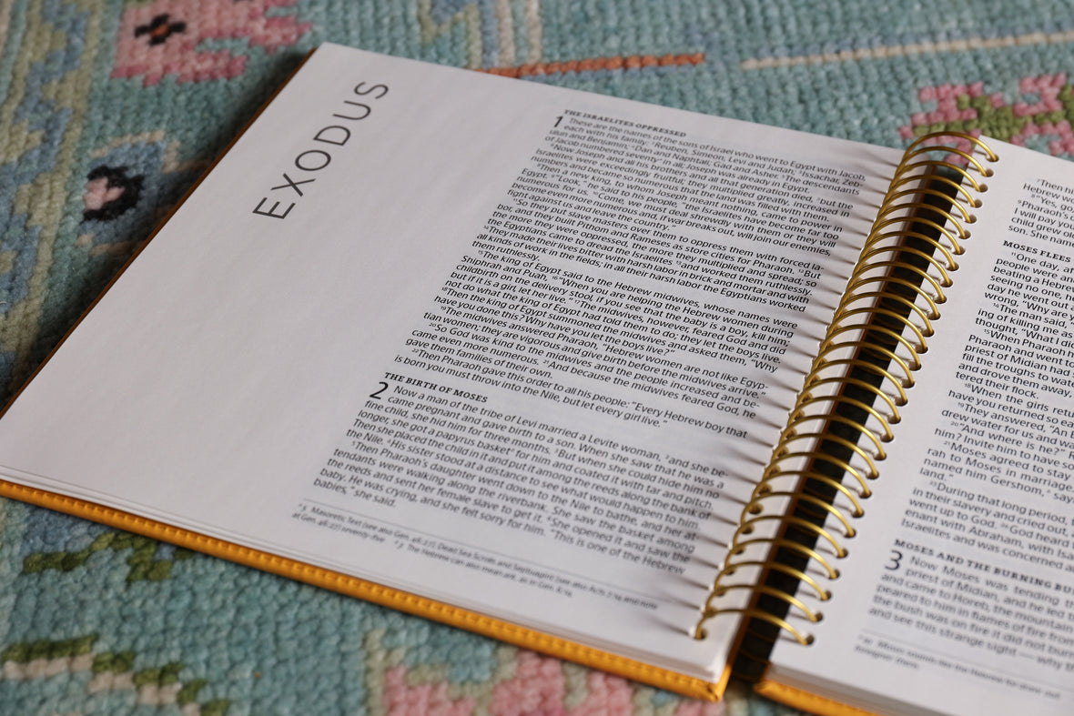 NIV, Spiral-bound Illustrating Bible: Genesis – Deuteronomy, Leathersoft Spiral, Yellow: Draw, Write, and Reflect Your Way Through Scripture