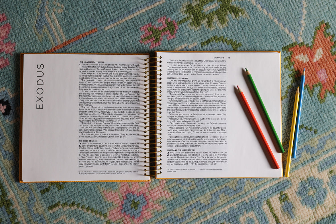 NIV, Spiral-bound Illustrating Bible: Genesis – Deuteronomy, Leathersoft Spiral, Yellow: Draw, Write, and Reflect Your Way Through Scripture