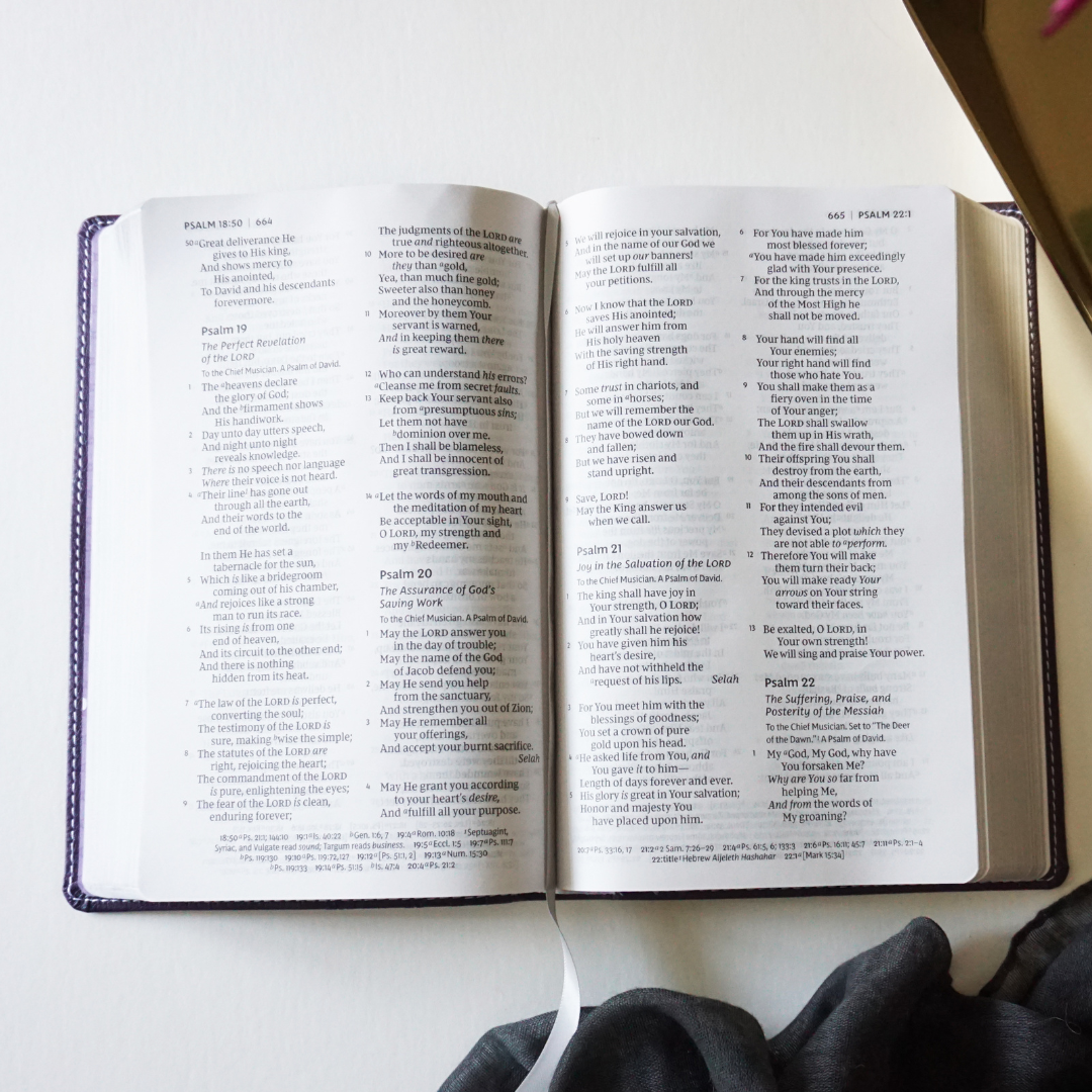 The God You Need to Know Study Guide + Book + Bible Premium Bundle