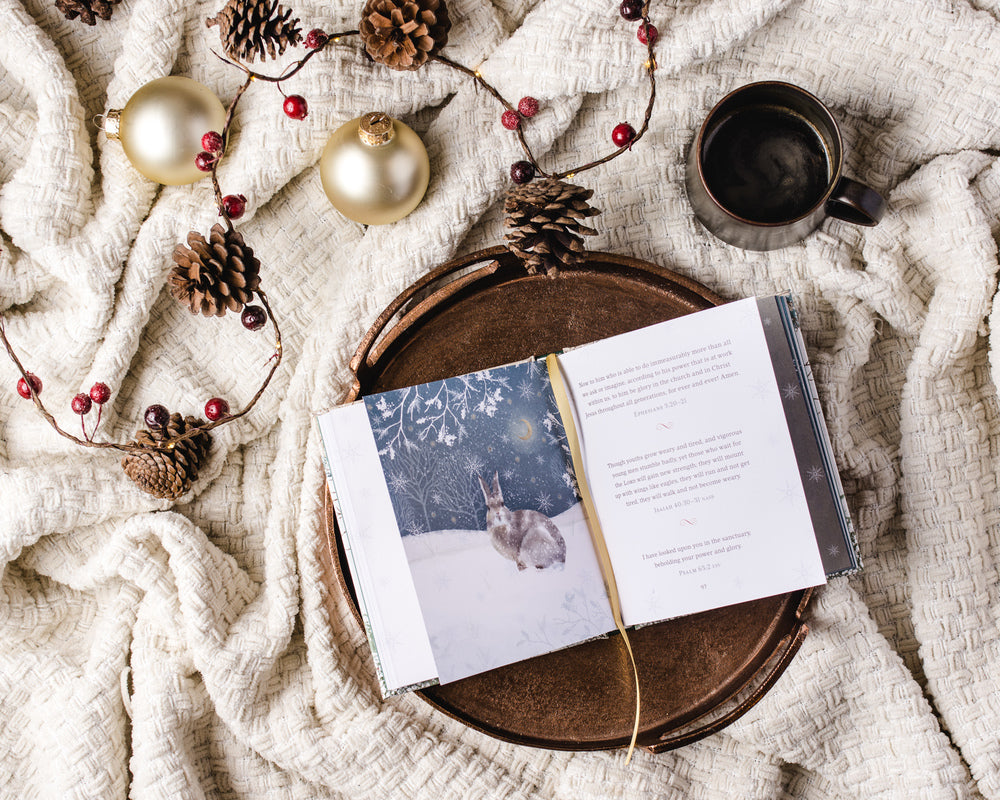 Jesus Listens—for Advent and Christmas 3-Pack Bundle