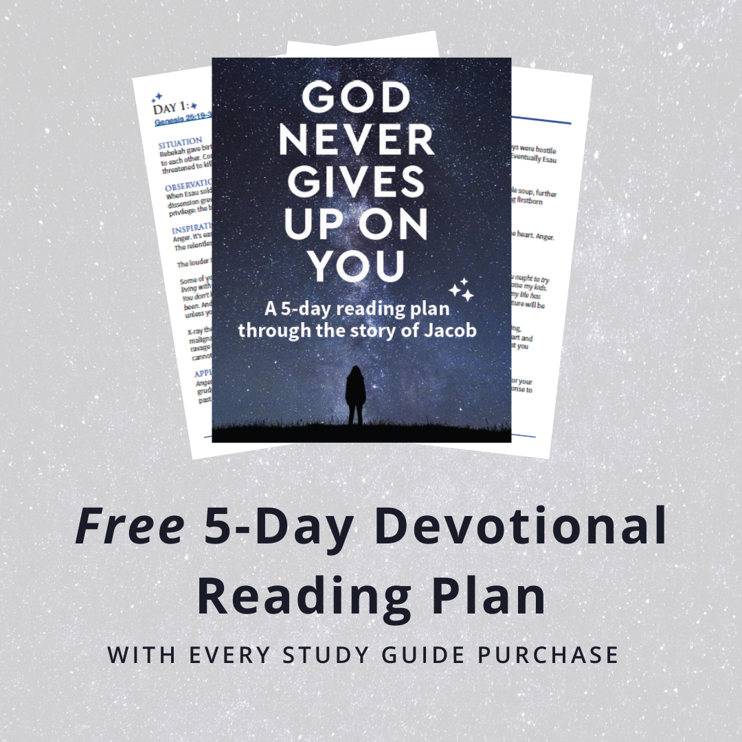 God Never Gives Up on You Bible Study Guide plus Streaming Video: What –  FaithGateway Store