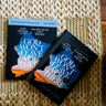 God Won't Leave You There Bible Study Guide + Book Essentials Bundle