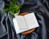Let the Journey Begin: Finding God's Best for Your Life – The Perfect Christian Graduation Gift to Celebrate Your Grad