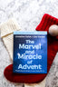 The Marvel and Miracle of Advent Study Guide + Advent Journal + Bible (Premium Bundle)