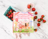 Strawberry Shortcake and the Berry Besties Festival