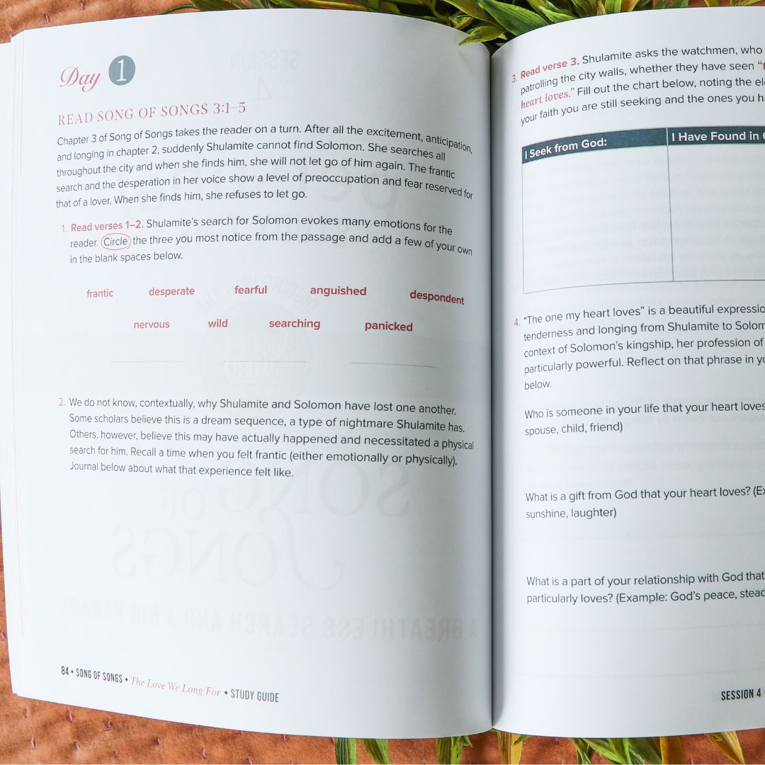 Song of Songs Bible Study Guide + Devotional Essentials Bundle