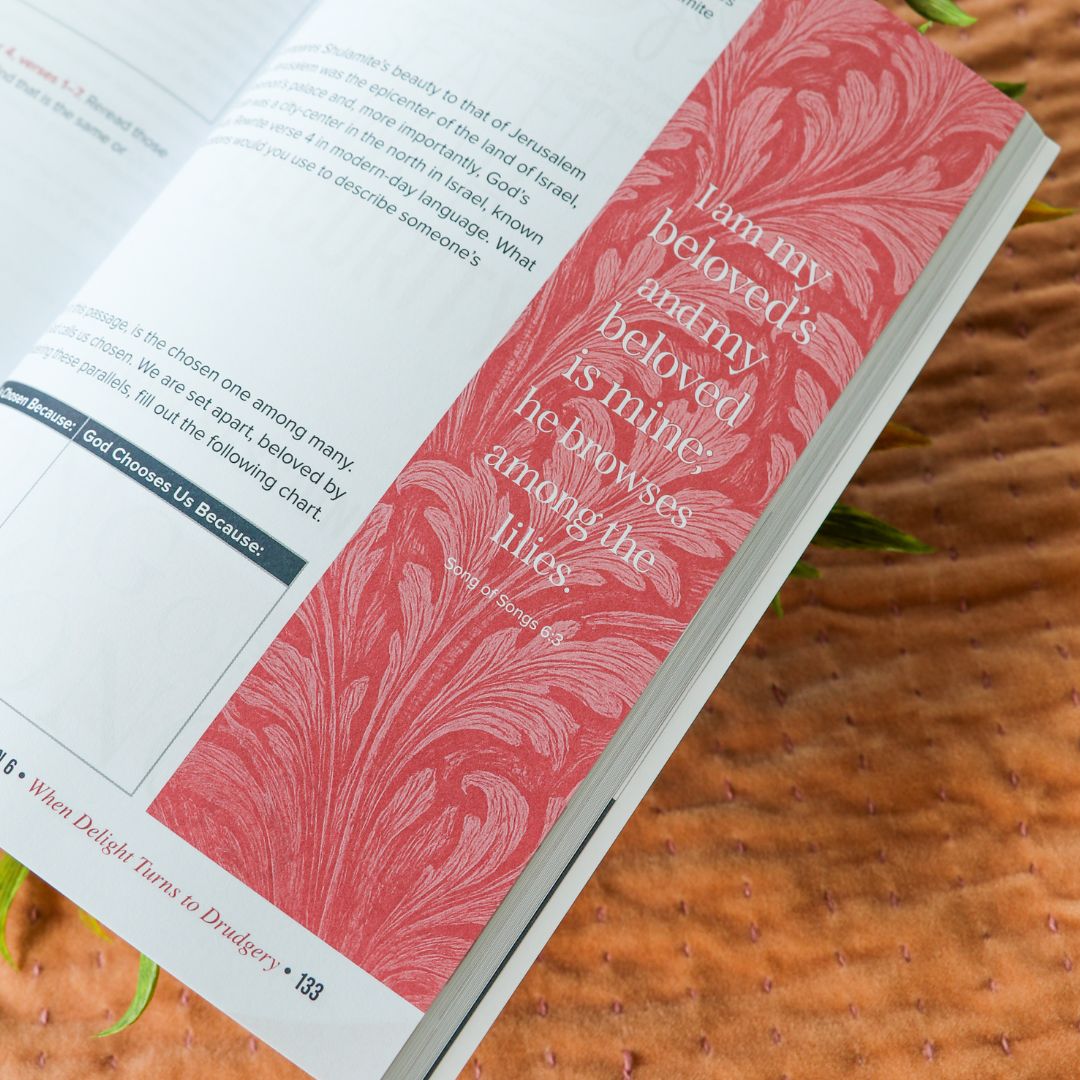 Song of Songs Bible Study Guide + Devotional Essentials Bundle