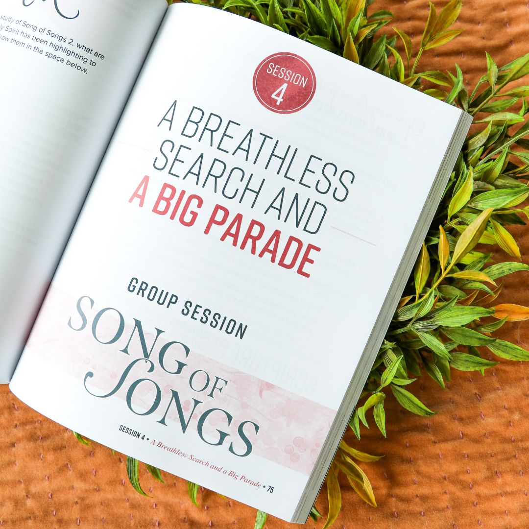 Song of Songs Bible Study Guide + Devotional Essentials Bundle