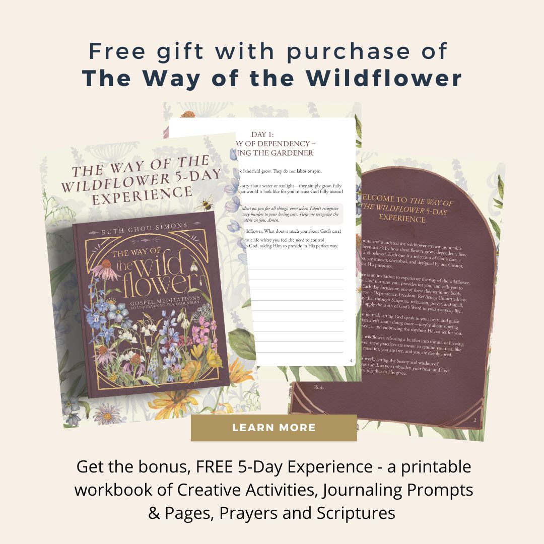 The Way of the Wildflower: Gospel Meditations to Unburden Your Anxious Soul – The Perfect Christian Devotional Christmas Gift for Women