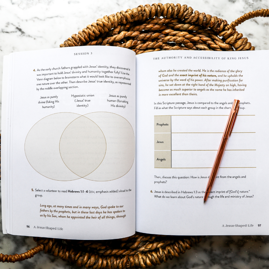 A Jesus-Shaped Life Study Guide + Bible Standard Bundle