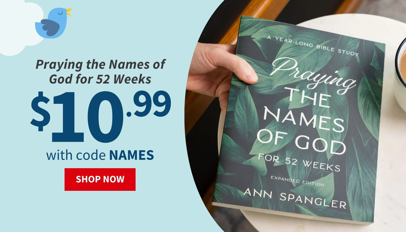 Book titled 'Praying the Names of God for 52 Weeks' held by a hand with promotional text on a light blue background. $10.99 with code NAMES - Shop Now