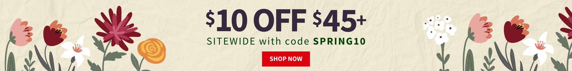 Promotional banner with flowers and a discount offer on a beige background