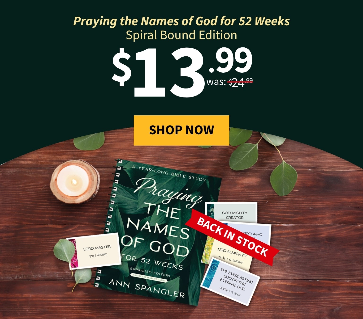 Praying the Names of God for 52 Weeks Spiral Bound Edition $13.99 was $24.99 - Shop Now