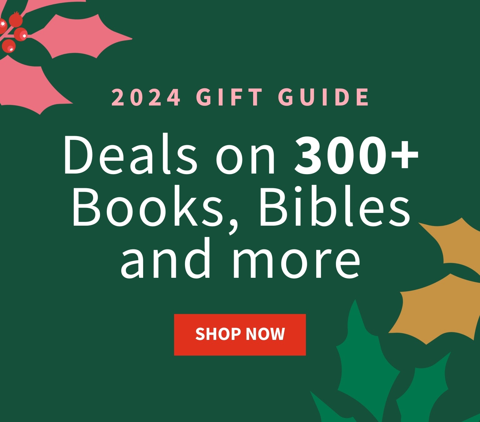 2024 Gift Guide, Deals on 300+ Books, Bibles and more, Shop Now