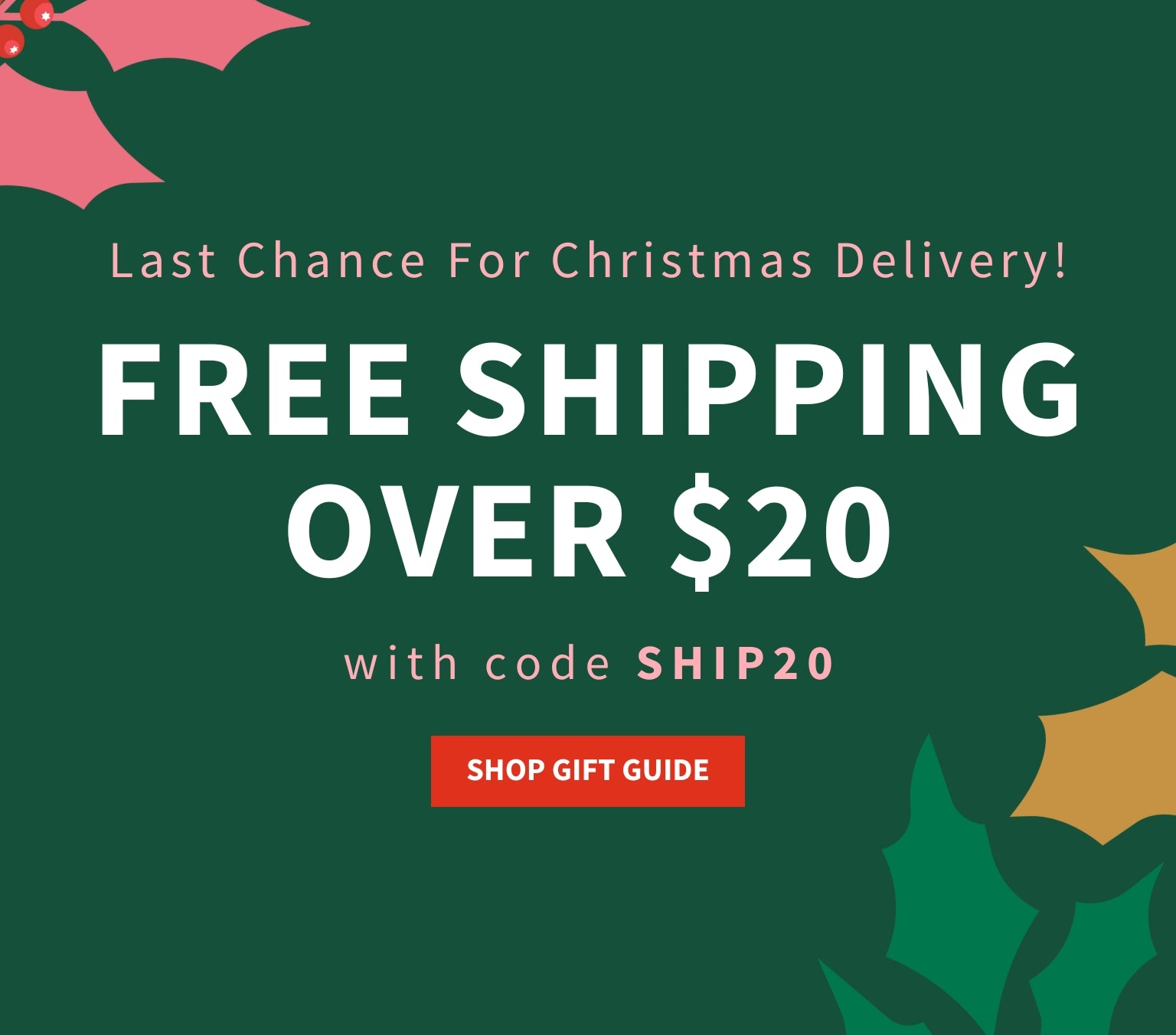 Last Chance for Christmas Delivery! Free Shipping Over $20 with code SHIP20, Shop Gift Guide