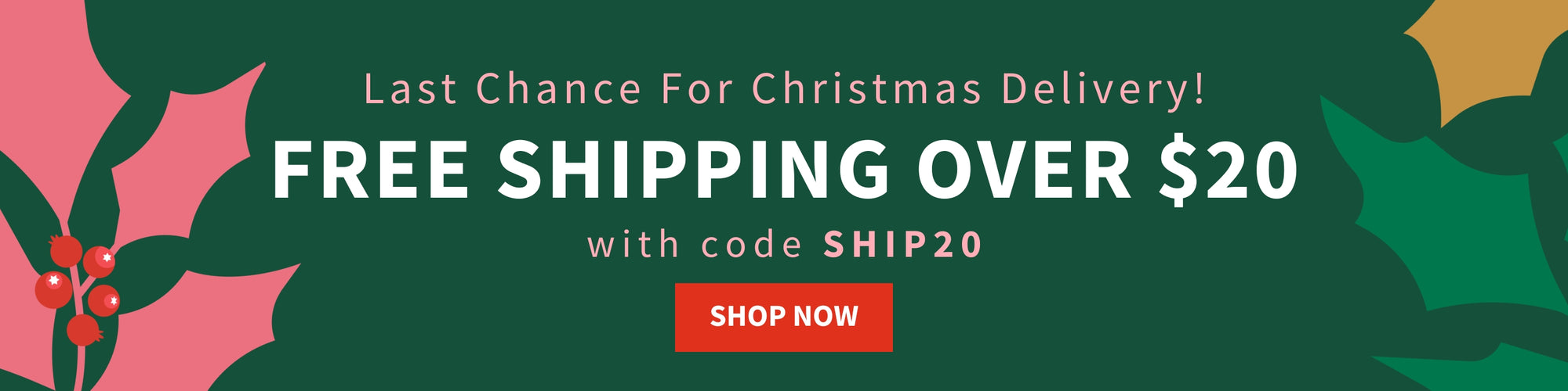 Last Chance for Christmas Delivery! Free Shipping Over $20 with code SHIP20, Shop Now