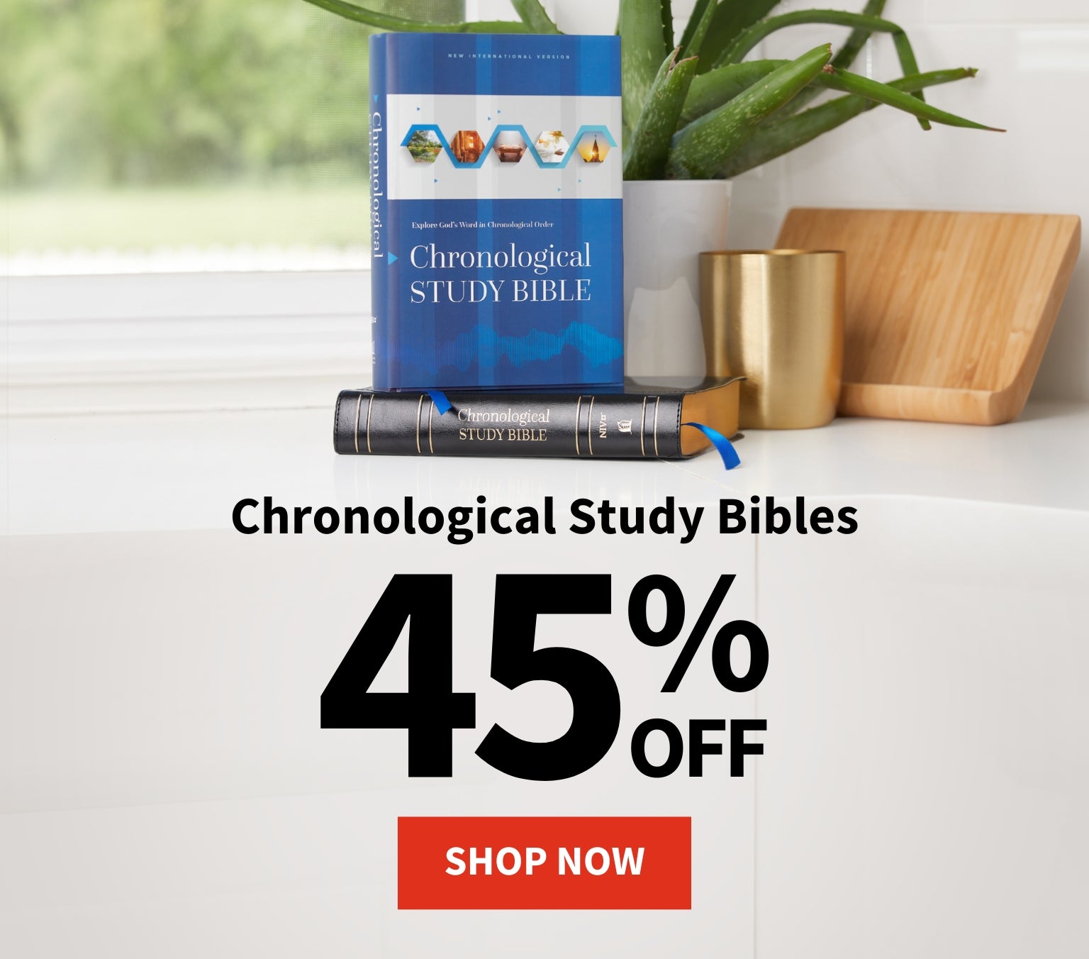 Chronological Study Bibles - 45% Off - Shop Now