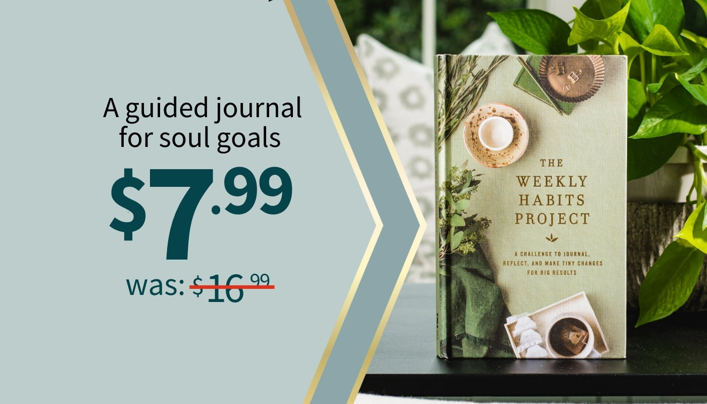 Book titled 'The Weekly Habits Project' with a price tag on a light blue background $7.99 was $16.99