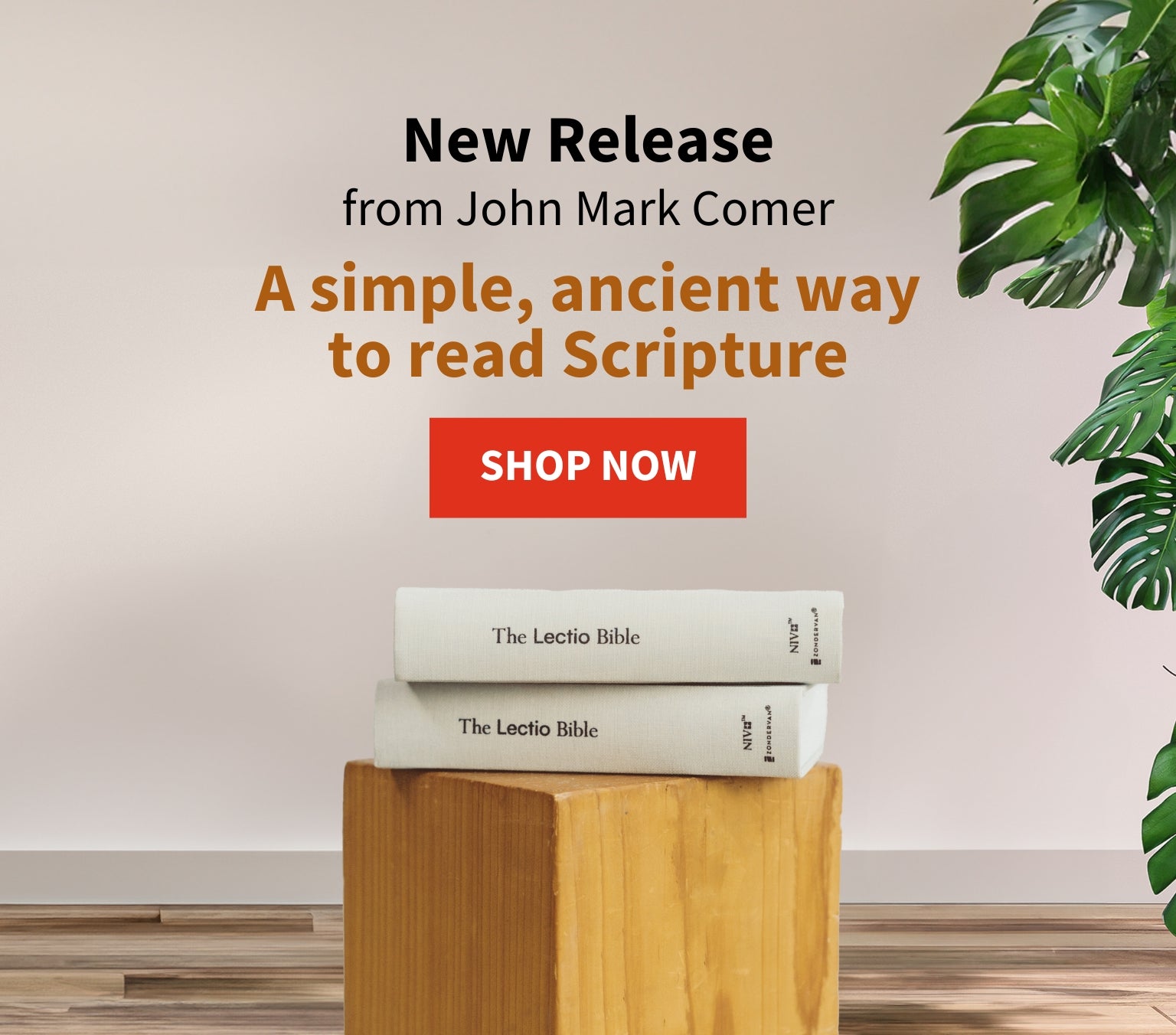 New Release from John Mark Comer - a simple, ancient way to read Scripture