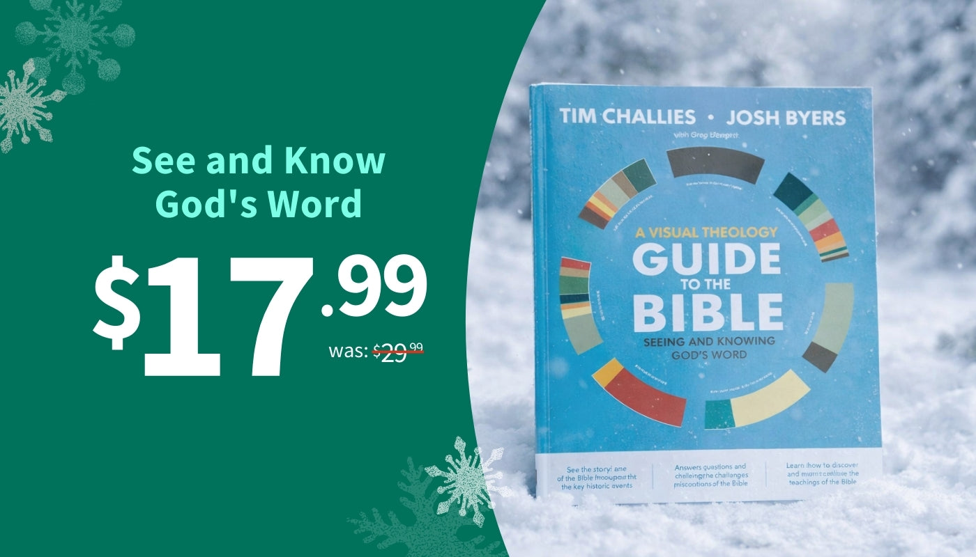 Book titled 'A Visual Theology Guide to the Bible' with a price tag on a snowy background