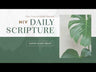 NIV, Daily Scripture, Super Giant Print, Paperback, White/Green, Comfort Print: 365 Days to Read Through the Whole Bible in a Year