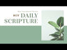 NIV, Daily Scripture, Paperback, White/Sage, Comfort Print: 365 Days to Read Through the Whole Bible in a Year