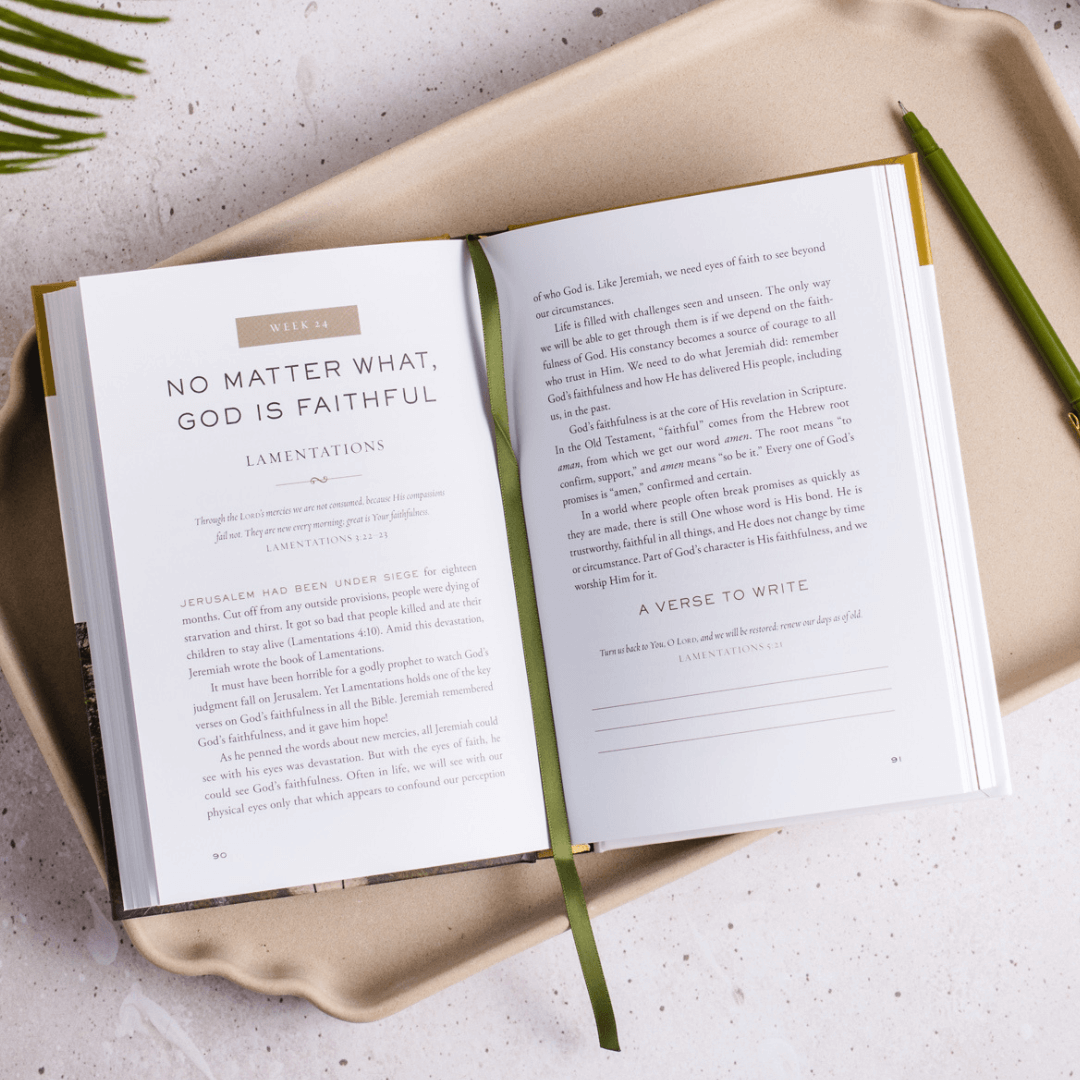 The Whole Story: A 52-Week Devotional Journey Through Every Book of the Bible