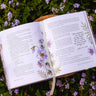 The Way of the Wildflower 3-Pack Bundle