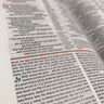 NIV Study Bible, Fully Revised Edition, Large Print, Red Letter, Comfort Print