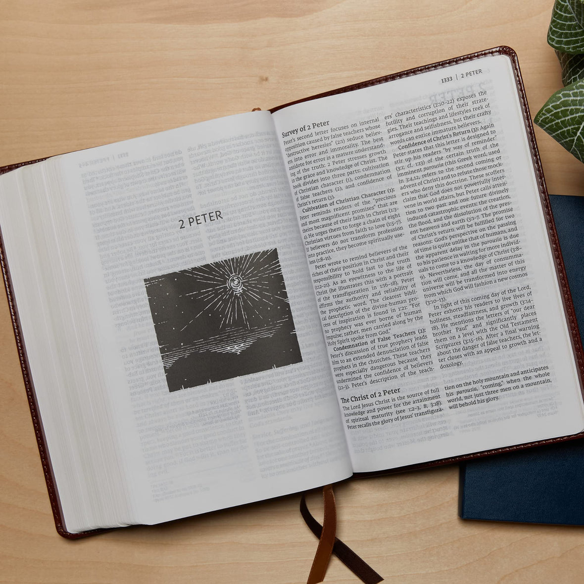 NET Bible, Thinline Art Edition, Large Print, Comfort Print: Holy Bible