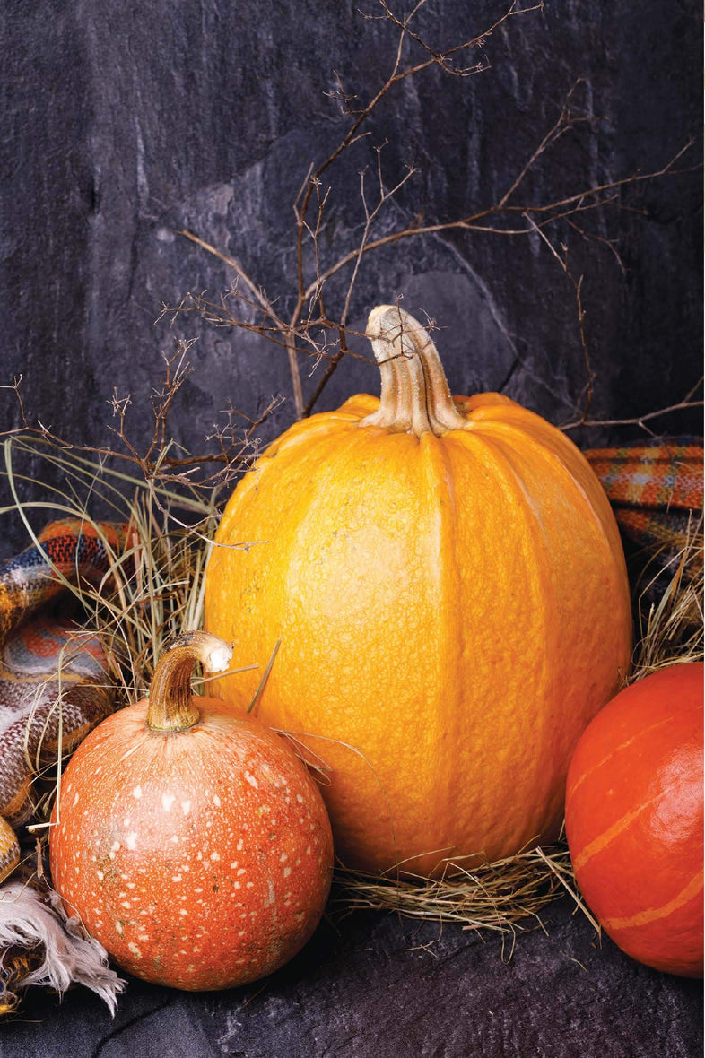 Devotions for the Fall: Celebrate the Harvest Season with Gratitude an ...