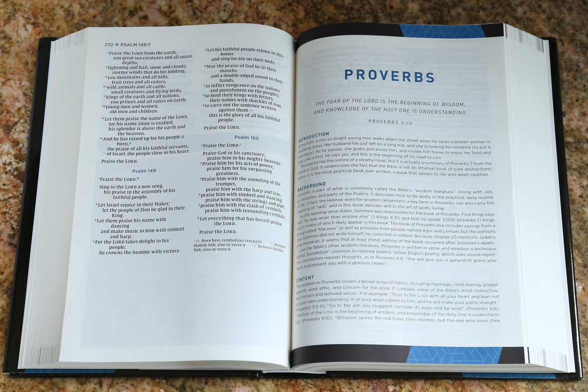 NIV, Storyline Bible, Comfort Print: Each Story Plays a Part. See How They All Connect.