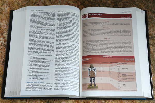 NIV, Storyline Bible, Comfort Print: Each Story Plays a Part. See How They All Connect.