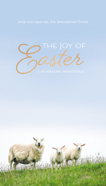 The Joy of Easter 30-Pack with Envelopes, ChurchSource Exclusive