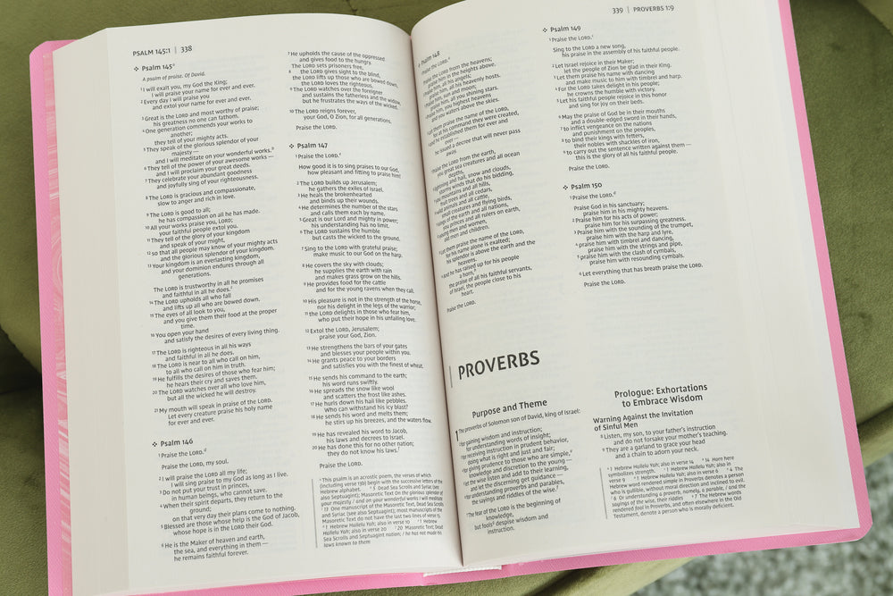 NIV, Gift and Award Bible, Leather-Look, Red Letter Edition, Comfort Print