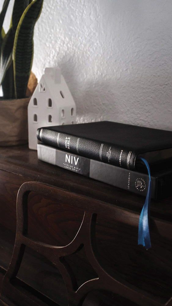 NIV, Thinline Bible, Large Print, Premier Collection, Art Gilded Edges, Comfort Print