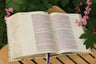 NIV, Artisan Collection Bible, Gilded Edges, Red Letter Edition, Comfort Print