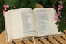 NIV, Artisan Collection Bible, Gilded Edges, Red Letter Edition, Comfort Print